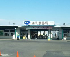 浦和競馬場